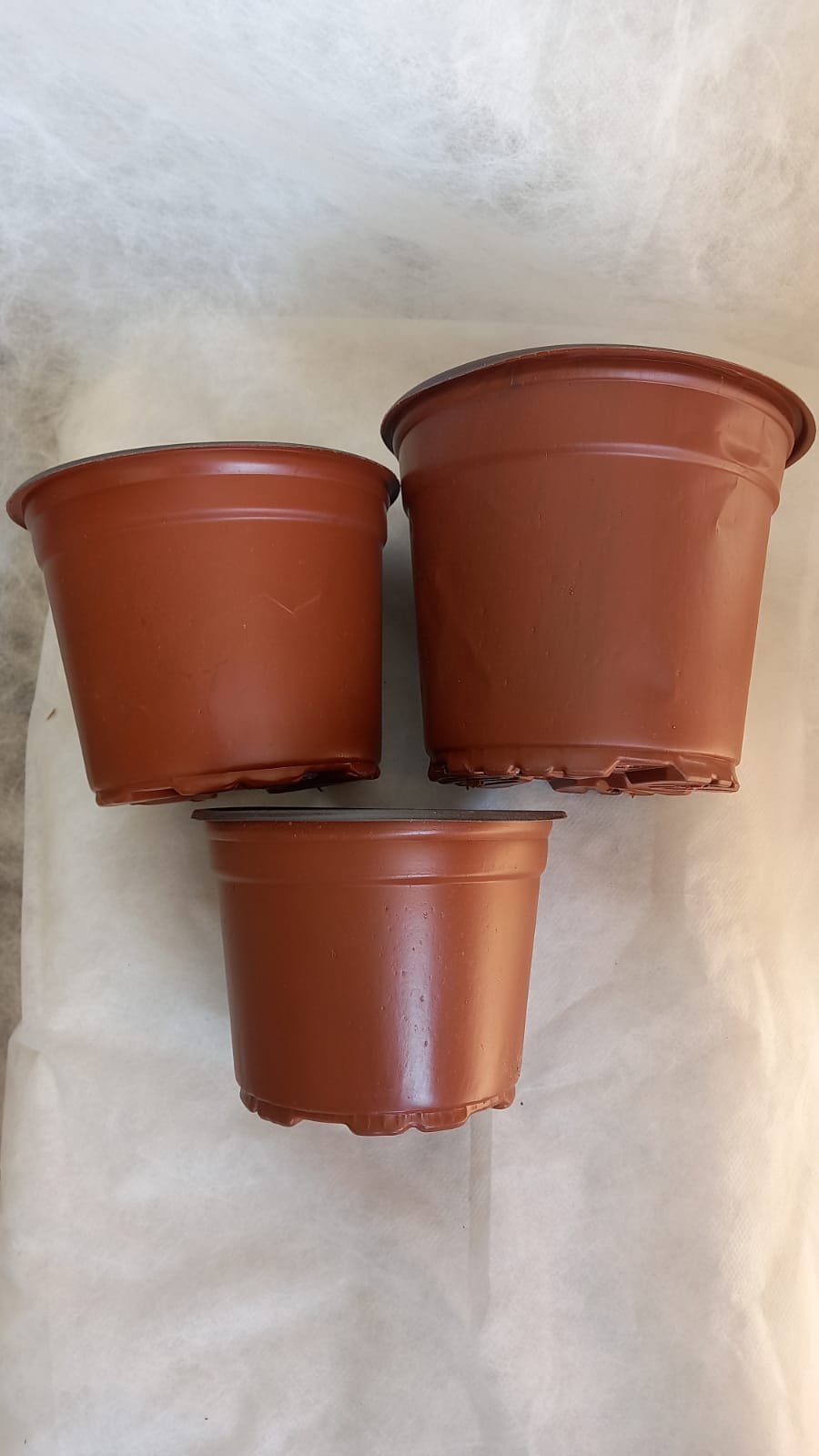 14 lük termaform saksı